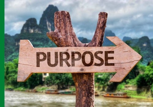 Finding Purpose and Fulfillment: The Journey to a Better Life